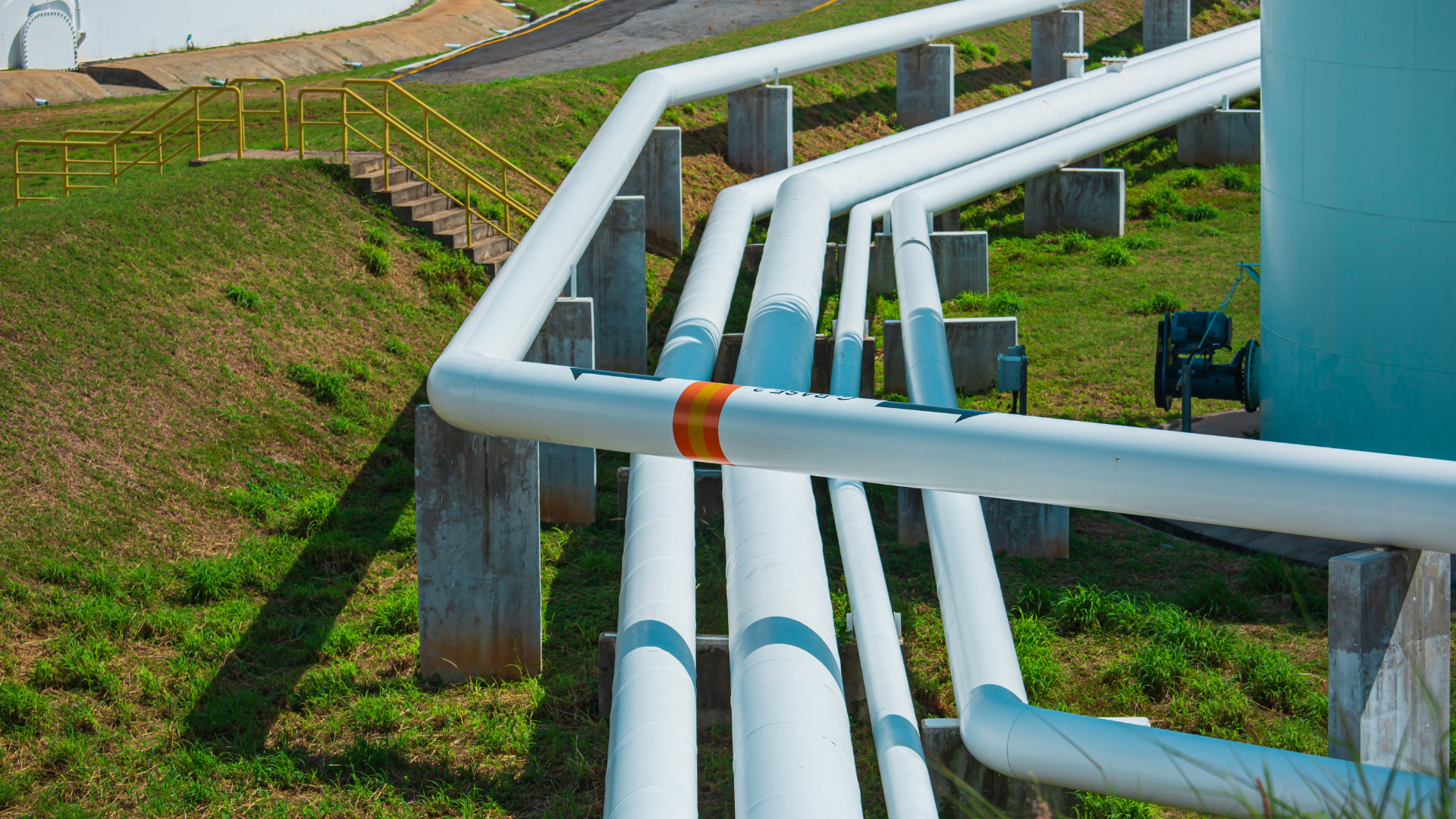 Future of the hydrogen economy