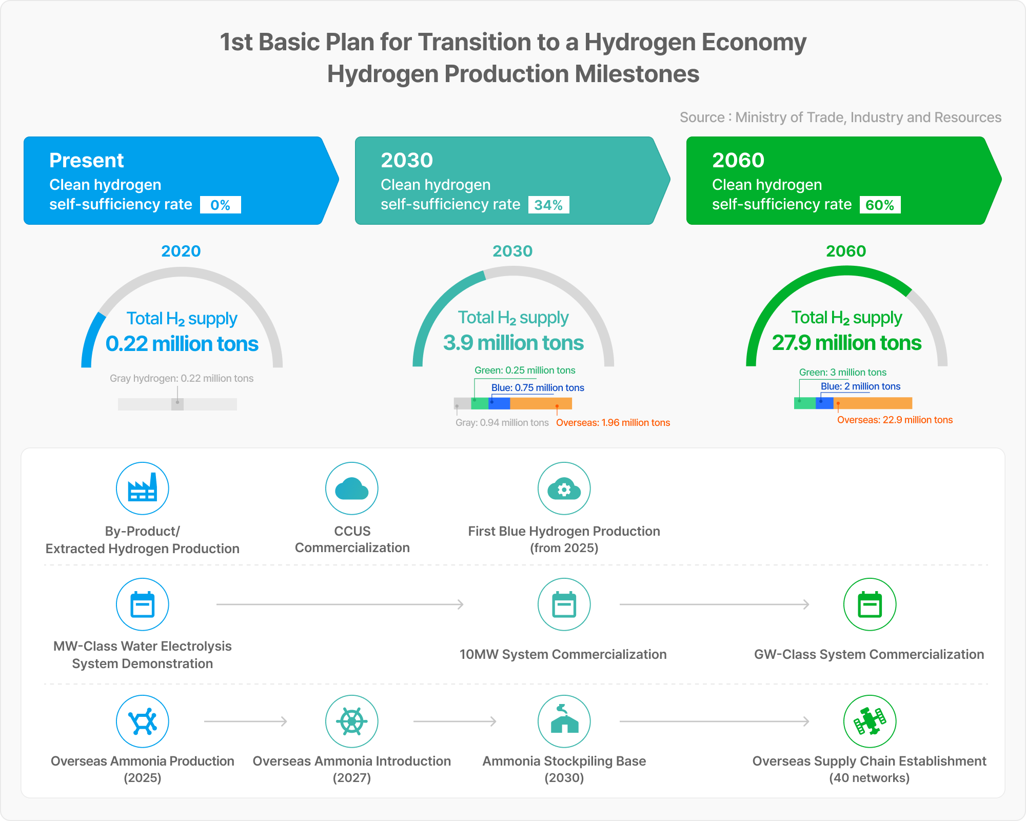 The Future of the Hydrogen Economy