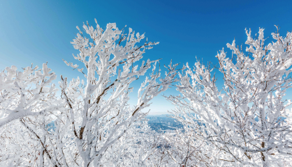 전북 무주군 덕유산에서 만난 설경