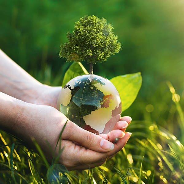 An image of a person holding a globe and a tree with both hands on the grass.